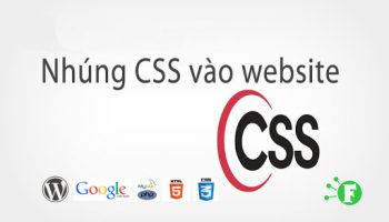nhung css vao website